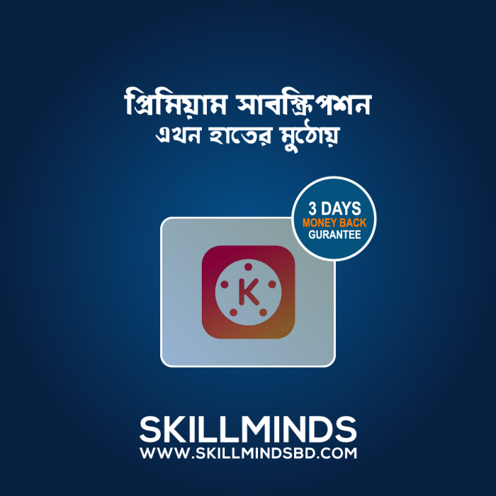KineMaster Premium