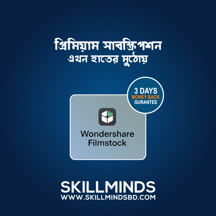 53 WonderShare Flimstock 6 Month Subscription
