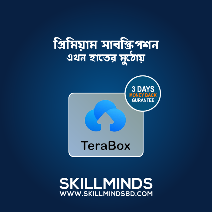 terabox premium and pro subscription or account bangladesh